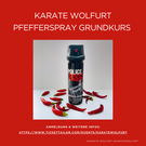 Sicherheitswochenende bei Karate Wolfurt 