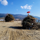 „Bäumle“ und „Berg“ laden in Lochau zum großen Funkenabbrennen