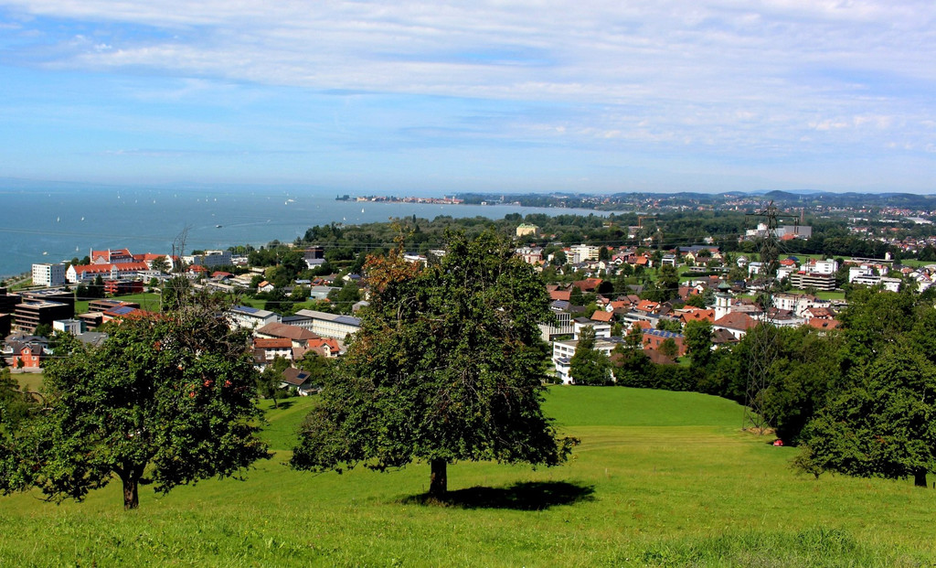 BU 2a WAHL MATT  Lochau Ansicht _1_.JPG