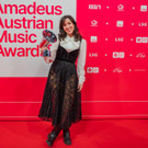 Vienna_at _132 von 28_.JPG