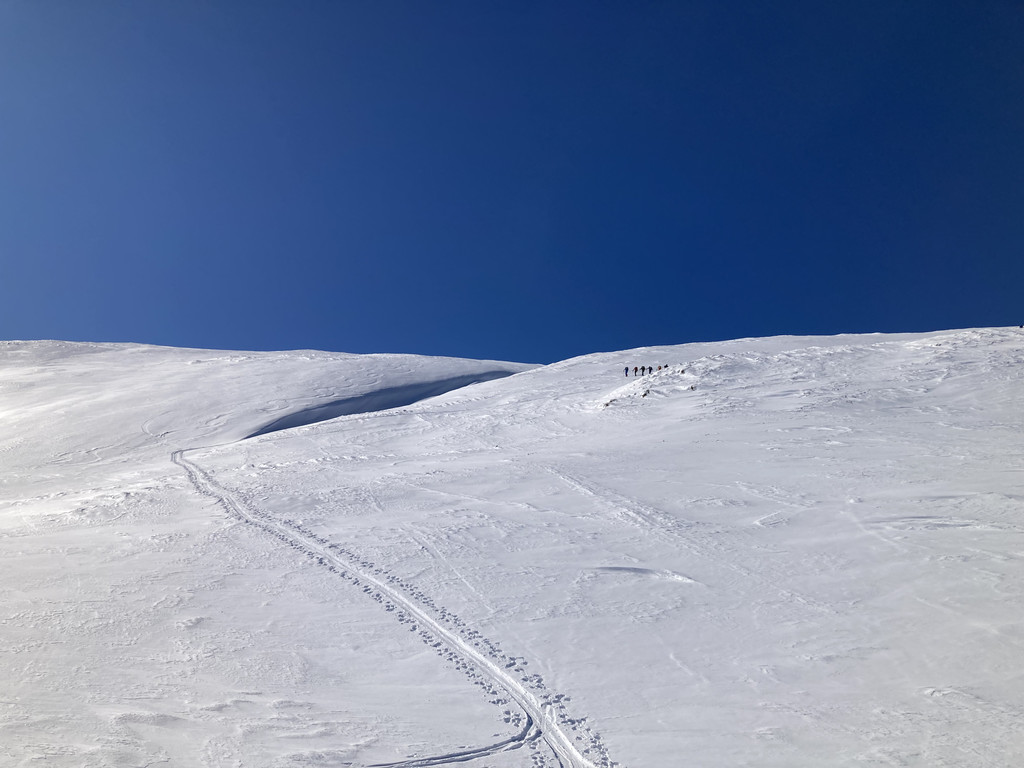 415DC30E-593E-4C01-8F19-CBE711474C34.jpeg