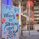 Vienna_at _9 von 56_.JPG