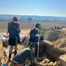 ABD0003-20250319.jpg