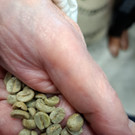 20250318_074126000_iOS 2.jpg