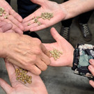 20250319_163626000_iOS 1.jpg