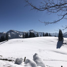 IMG_8313.JPG