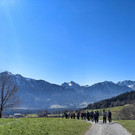 Schlins 7.jpg