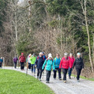 Wanderung an die Brühlbach Wasserfälle