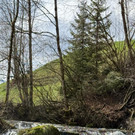 20250401_170852000_iOS 2.jpg