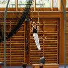 Z02_3565.jpg