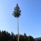 IMG_5592.JPG