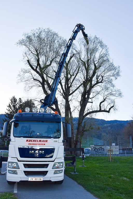 20250408_Weide_Baum Strandbad-7.jpg