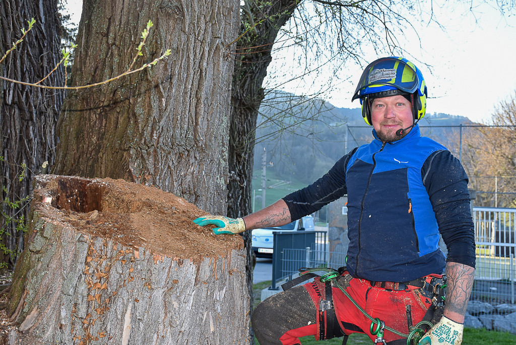 20250408_Weide_Baum Strandbad-17.jpg