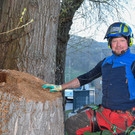 20250408_Weide_Baum Strandbad-17.jpg