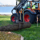 20250408_Weide_Baum Strandbad-21.jpg