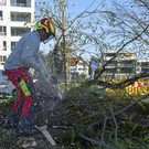 20250408_Weide_Baum Strandbad-25.jpg