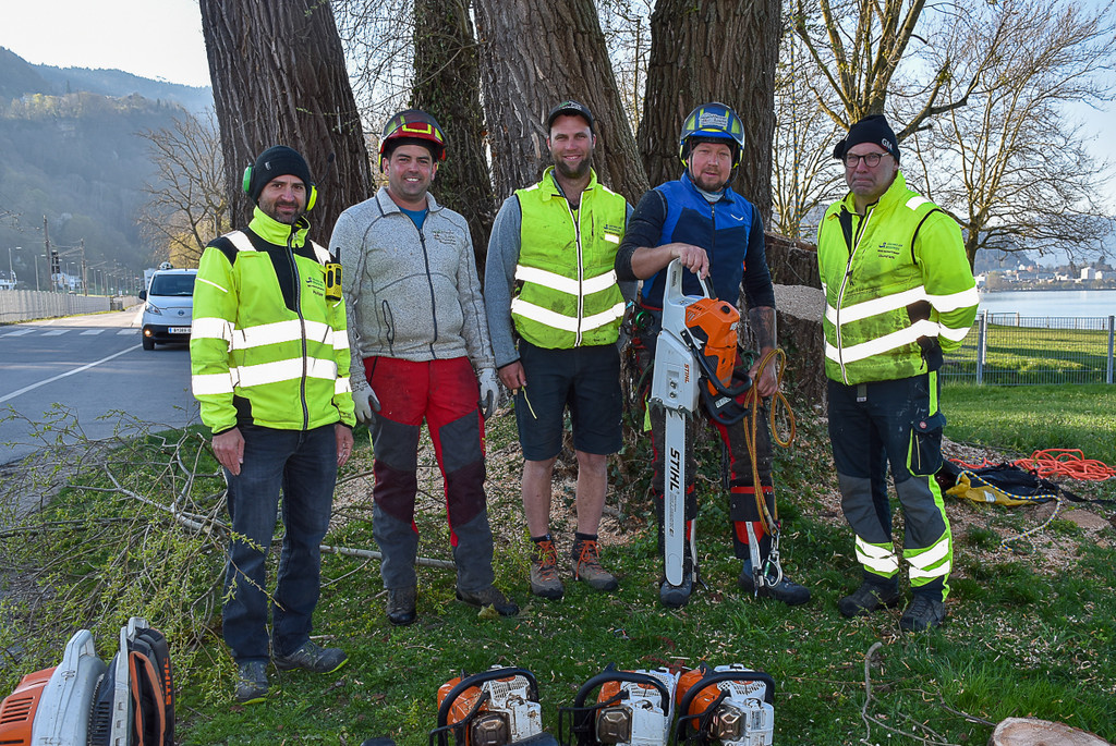 20250408_Weide_Baum Strandbad-29.jpg