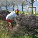 20250408_Weide_Baum Strandbad-40.jpg