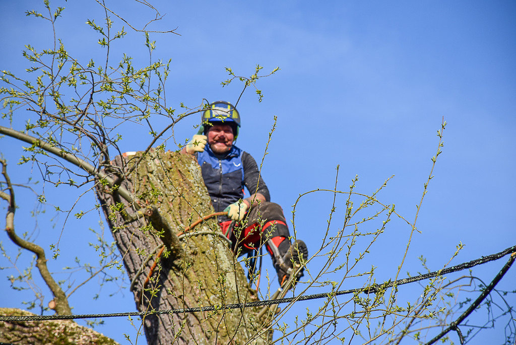20250408_Weide_Baum Strandbad-48.jpg