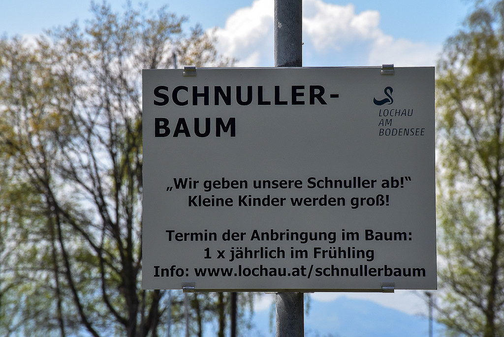 20250416_Schnullerbaum.jpg
