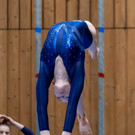Sophia Steinhauser Balken 2.jpg