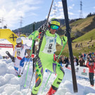 Dieter Bischof Sieger