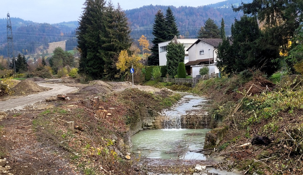 BU 2b Ruggbach Hochwasserschutz PROJEKT Abschluss DOKU April 2025 _21_.jpg