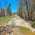 BU 8 Ruggbach Hochwasserschutz PROJEKT Abschluss DOKU April 2025 _12_.jpg