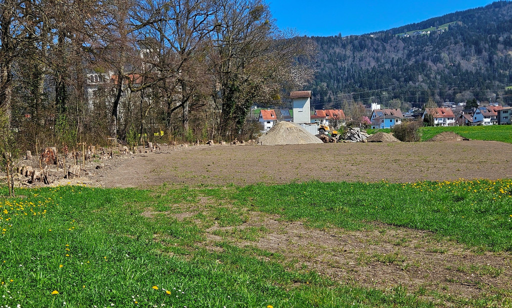 BU 9 Ruggbach Hochwasserschutz PROJEKT Abschluss DOKU April 2025 _28_.jpg