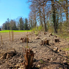 BU 9 Ruggbach Hochwasserschutz PROJEKT Abschluss DOKU April 2025 _29_.jpg