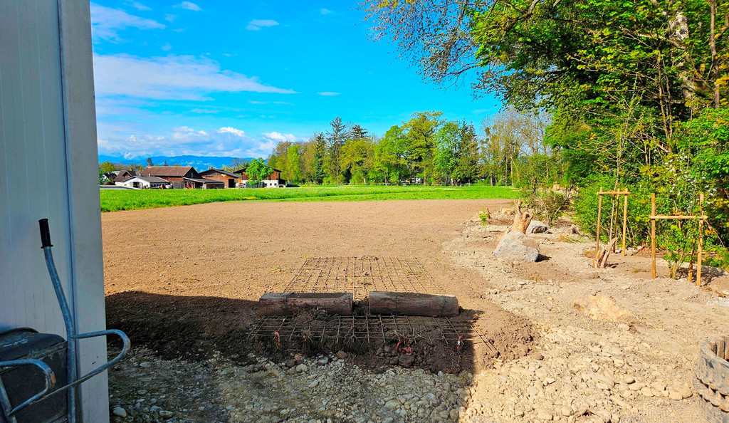 BU 9 Ruggbach Hochwasserschutz PROJEKT Abschluss DOKUMENTATION 04-04-2025 _32_.jpg