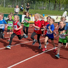 Erfolgreicher schnellster Montforter