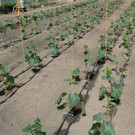 M2200931 - Kopie.jpg