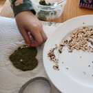 Kinderprogramm, Saatk ugeln und Samenpapier