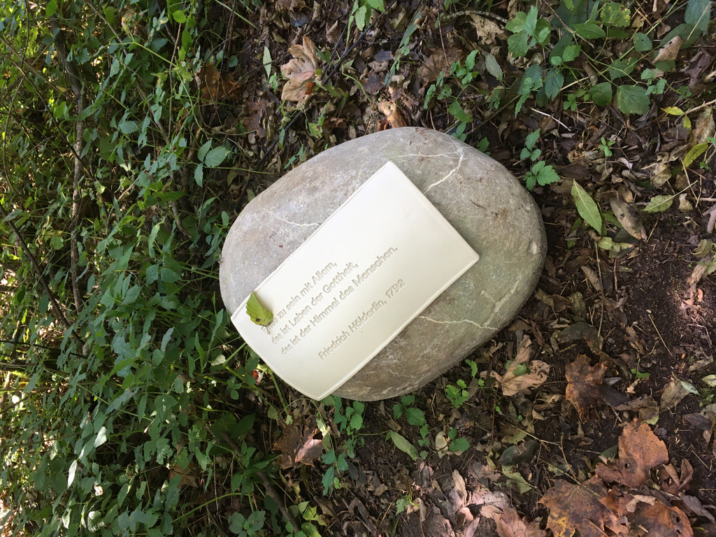 image00002.jpeg