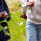 IMG-20250511-WA0012.jpg