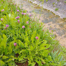 IMG-20250511-WA0010.jpg