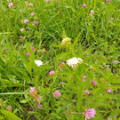 IMG-20250511-WA0007.jpg