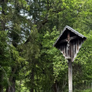 20250520_130811000_iOS - Kopie.jpg