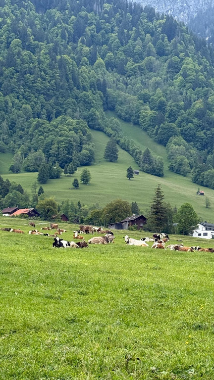 20250520_130818000_iOS - Kopie.jpg