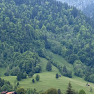 20250520_130818000_iOS - Kopie.jpg
