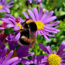 Mehr Bilder von Ilse Anders