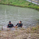img-20250519-wa0010.jpg