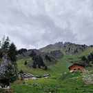 Alpespora11.jpg