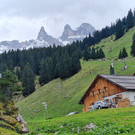 Alpespora12.jpg