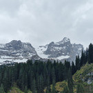Alpespora14.jpg