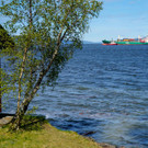 AFP_489V9P9.jpg