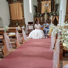 FreiZambra10 _2_N.jpg