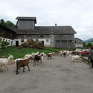 P1002303.JPG