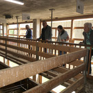 P1002340.JPG